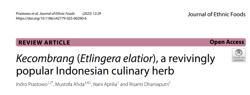 Kecombrang (Etlingera elatior), a revivingly
popular Indonesian culinary herb
